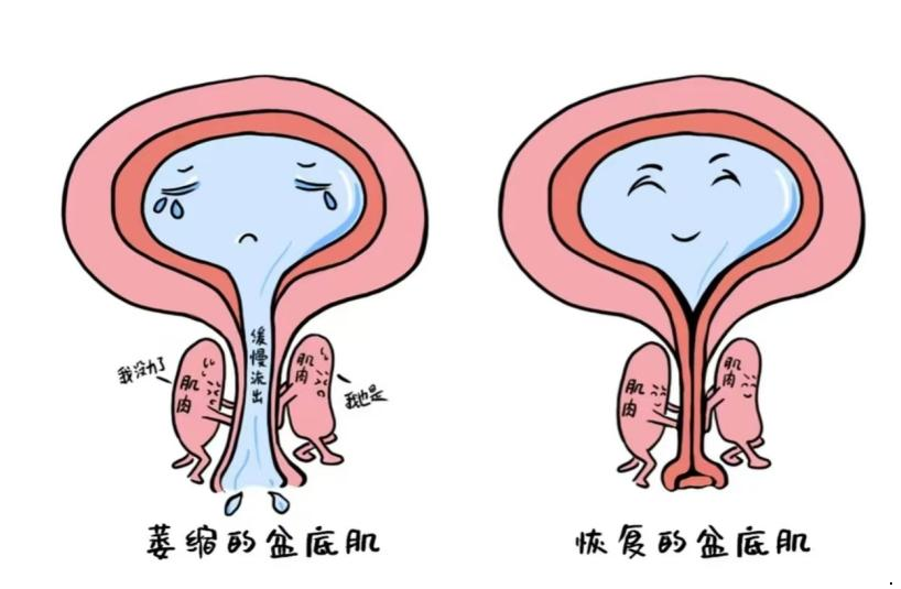 1df2da06d5e948b984b9c7a7e131977c.png 1df2da06d5e948b984b9c7a7e131977c.png