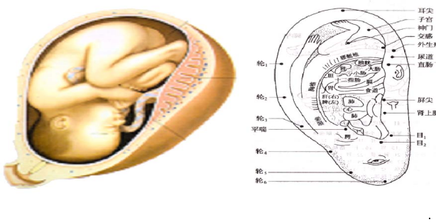 9807d13fd1394c00ba6e8e984343d502.png 9807d13fd1394c00ba6e8e984343d502.png